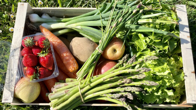 panier-fruits-legumes